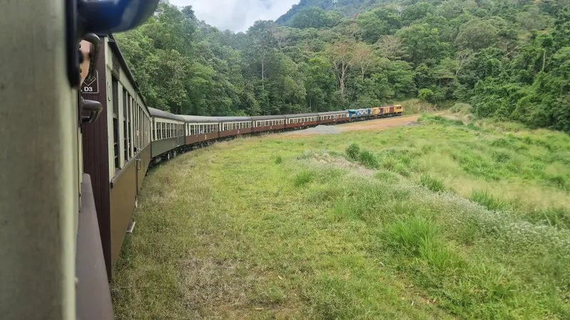 The train curving through a grassy clearing below rainforest-covered hills