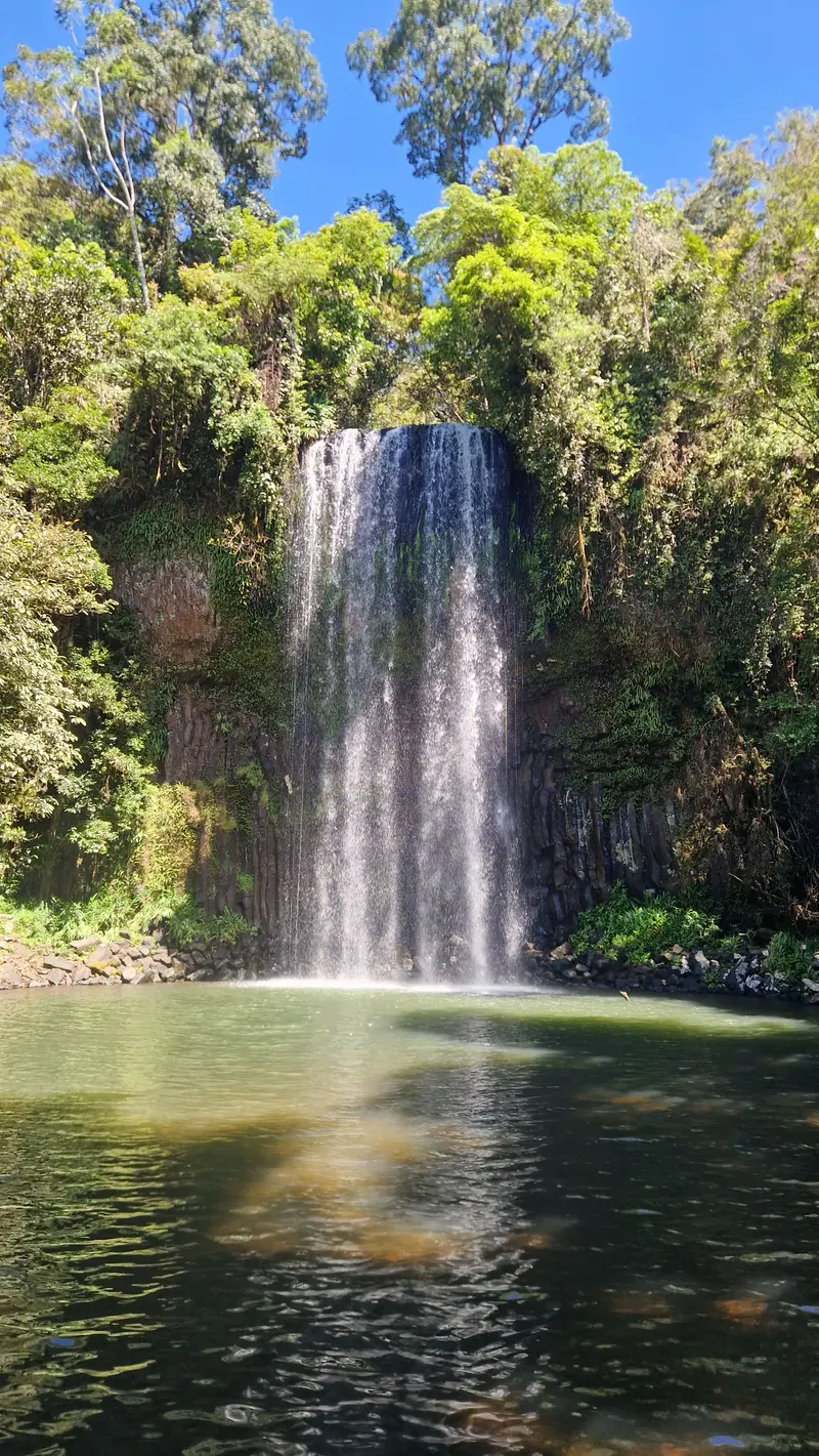 Millaa Millaa Falls dropping over dark basalt columns into a green pool, framed by rainforest
