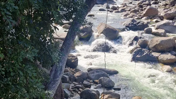 The Mossman River running clear over granite boulders beneath rainforest