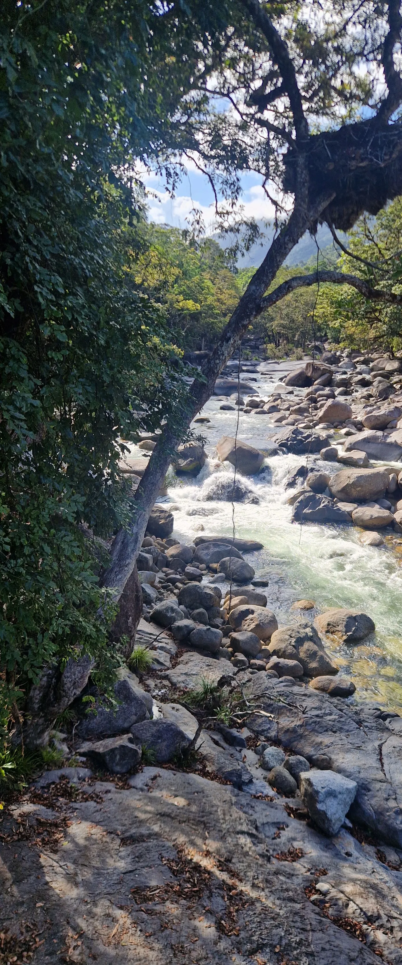 The Mossman River running clear over granite boulders beneath rainforest