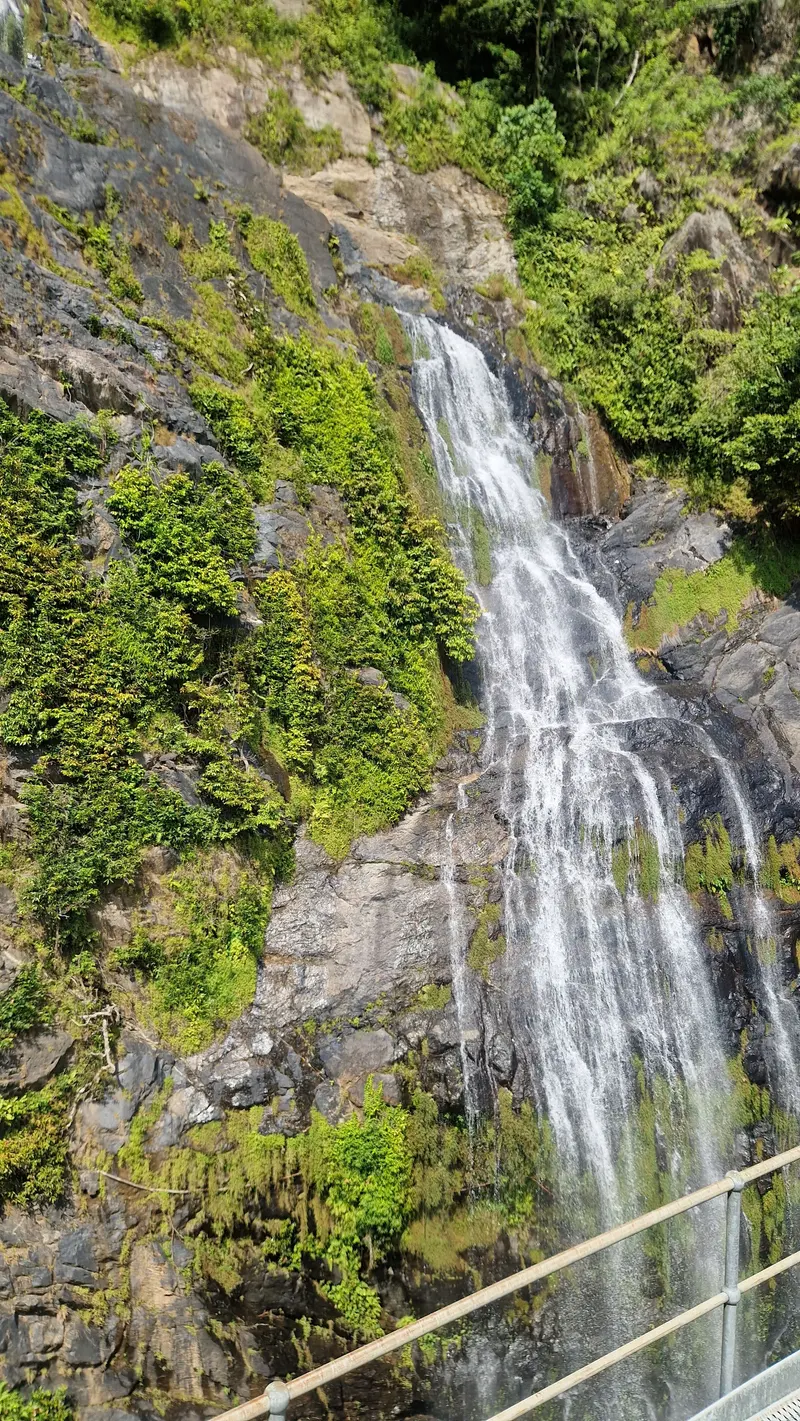 Stoney Creek Falls running down a mossy rock face beside the railway bridge