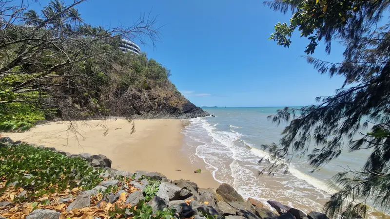 A small sandy cove below a rocky headland, framed by she-oak branches