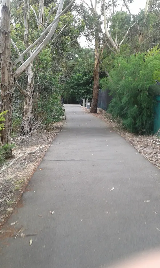Near The Artists' Park playground, Box Hill South