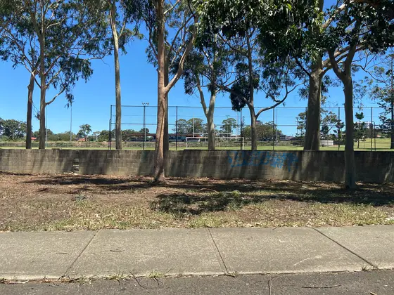 Near Granville Park playground, Merrylands