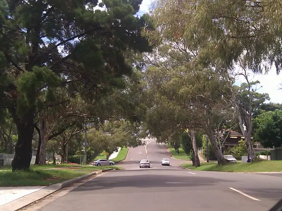 Near Wylie Street Reserve playground, Kirrawee