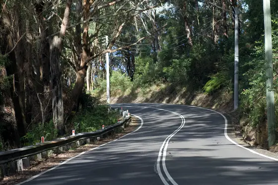 Near Henry Hallorhan Park playground, Stanwell Tops