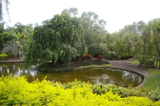 Near Jingili Water Gardens playground, Jingili