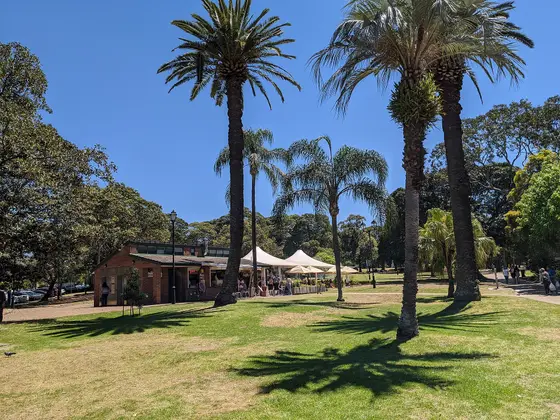 Near Burwood Park Inclusive Play Space, Burwood