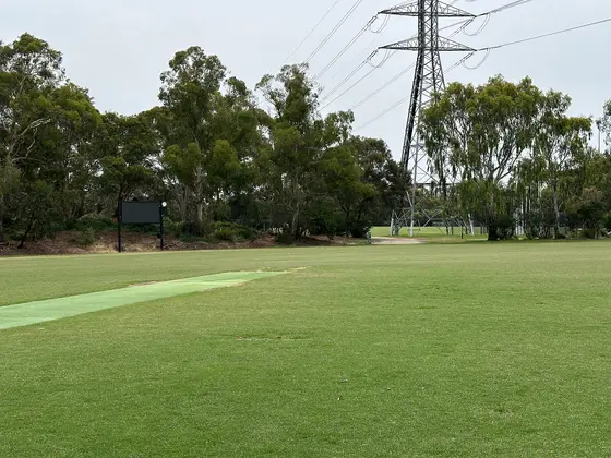Near Darling Park playground, Ashburton