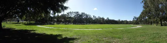 Near Jack Cook Memorial Park playground, Taringa