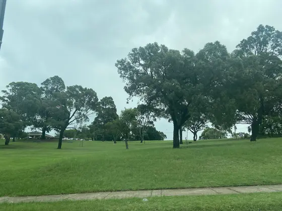 Near Wattawa Reserve playground, Condell Park