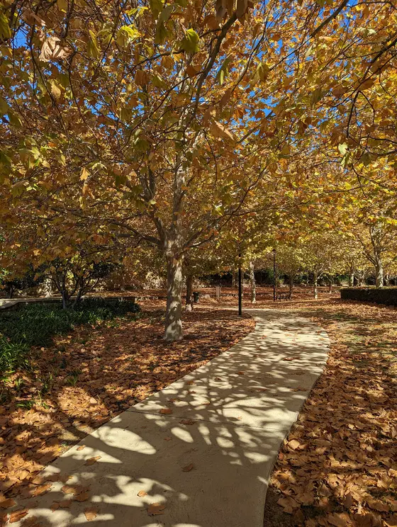 Near Trillo Road Park playground, Subiaco