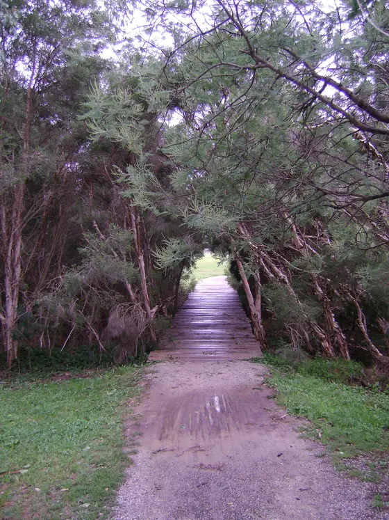 Near Napier Park Playground, Glen Waverley