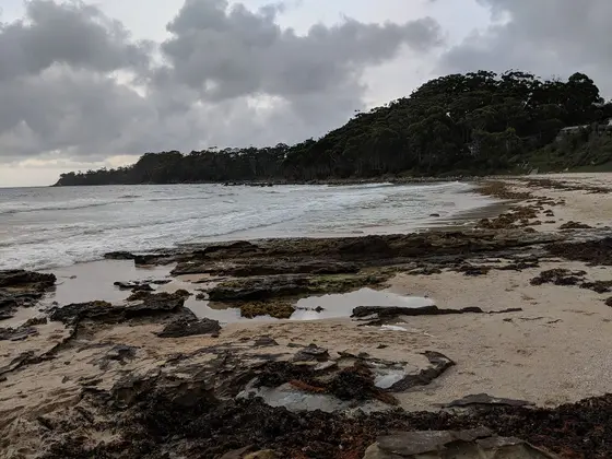 Near Narrawallee Park, Narrawallee
