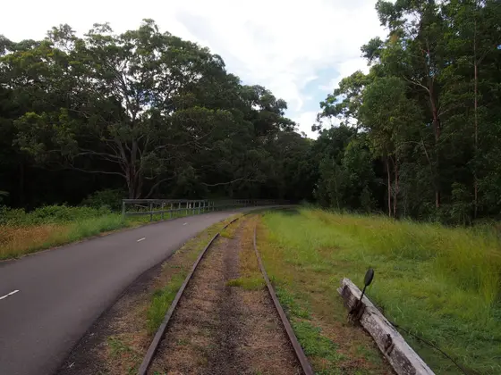 Near Banksia Close Reserve playground, Adamstown Heights