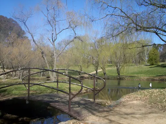 Near Weston Park District Playground (East), Yarralumla