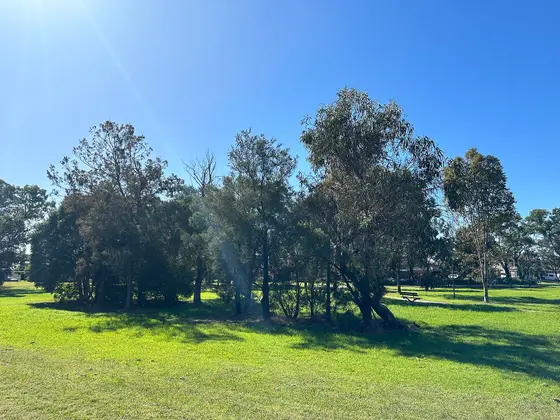 Near Dwyer Park, Fairfield West