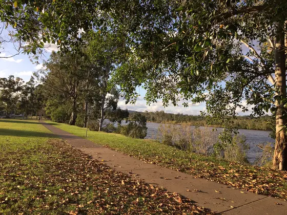 Near Giraween Park playground, Graceville