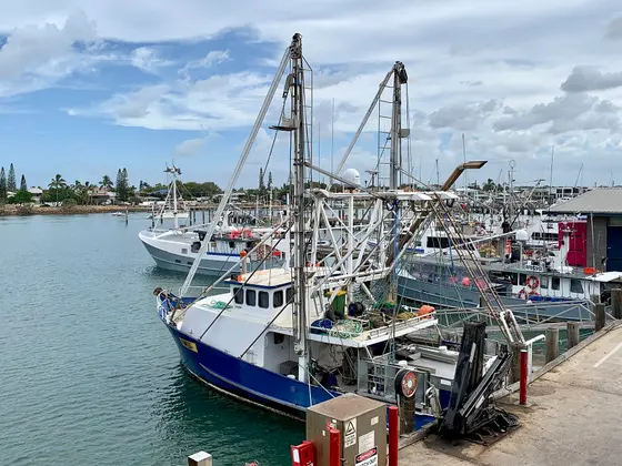 Near Fishing Boat Playground, Mooloolaba