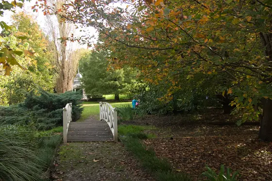 Near Boongaree Sports Complex, Berry