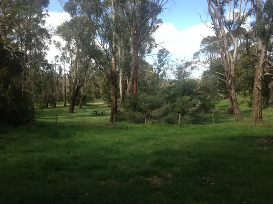 Near Ash Wednesday Park Playground, Macedon
