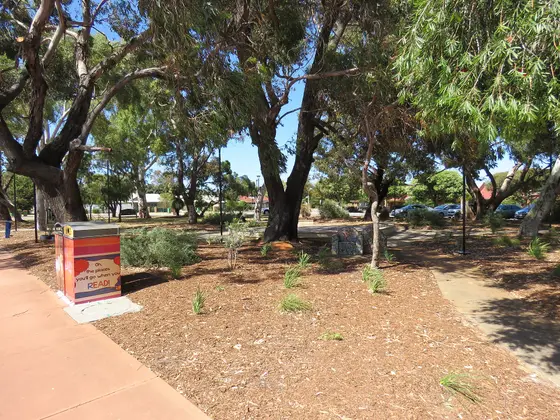 Near Harmony Park playground, Willagee