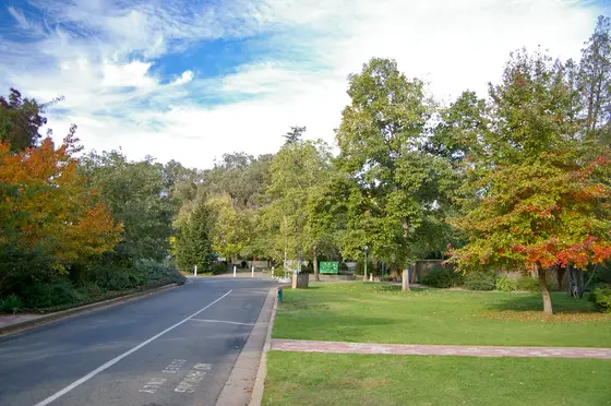 Near Wagga Wagga Botanical Garden & Zoo playground, Turvey Park