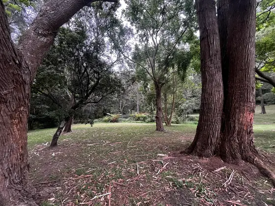 Near H. V. Evatt Park playground, Lugarno