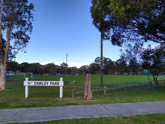 Near Cawley Park playground, Russell Vale