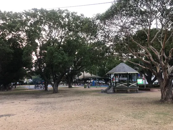 Near Anzac Park, Campsie