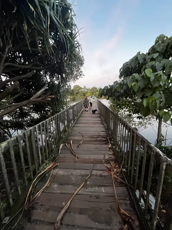 Near Banner Park playground, Brunswick Heads