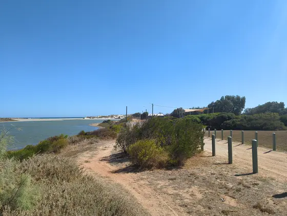 Near Greenough Park playground, Cape Burney