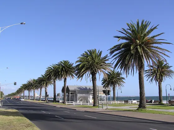 Near Danks Street Playground, Albert Park
