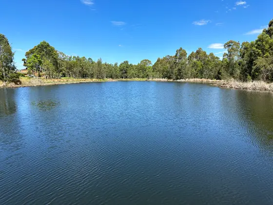 Near Len Waters Park, Elizabeth Hills