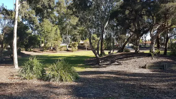 Near Collins Park playground, Willetton
