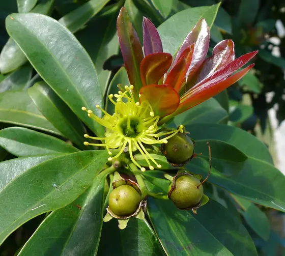 Near Bingarra Park, Margate