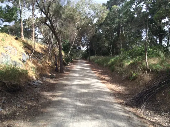 Near Richardson Park Playspace, Sevenhill