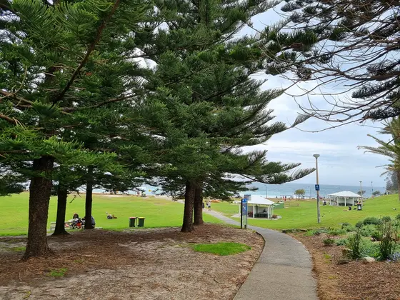 Near Bronte Park, Bronte