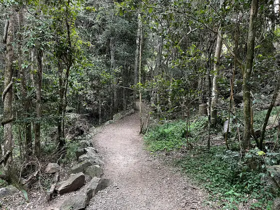 Near Corramulling Park playground, The Gap