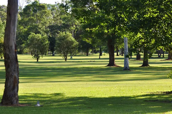 Near Wisemans Ferry Park, Wisemans Ferry