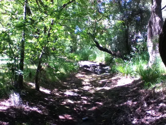 Near Fountain Valley Reserve playground, Happy Valley
