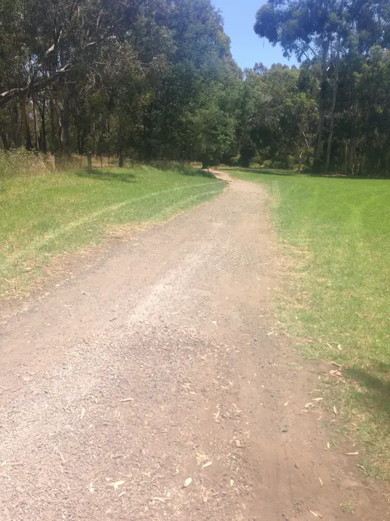 Near Banyule Flats Reserve Playground, Viewbank