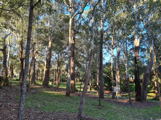 Near Campbell Park, Chatswood