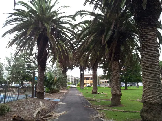 Near Shelly Park playground, Cronulla