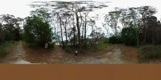 Near Council Playground, Woolgoolga