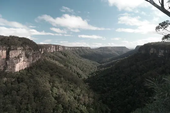 Near Mimosa Reserve playground, Fitzroy Falls