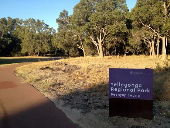 Near Gascoyne Park playground, Woodvale
