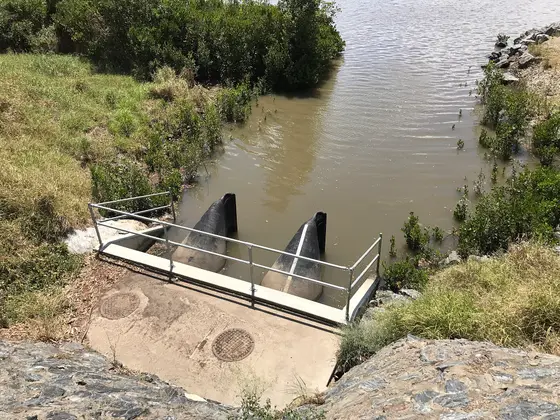 Near Faulkner Park playground, Graceville
