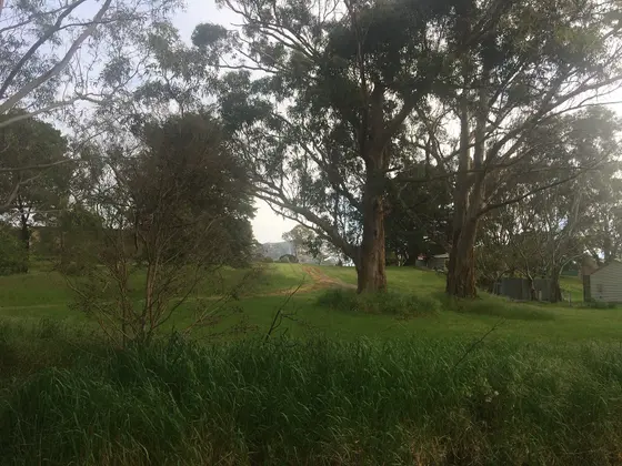 Near dunkeld memorial parkl playground, Dunkeld