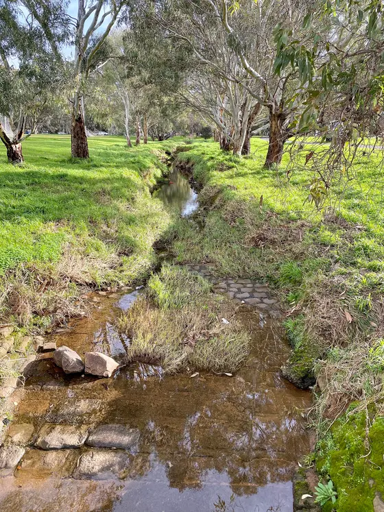 Near Peppermint Park / Wita Wirra (Park 18) playground, Adelaide